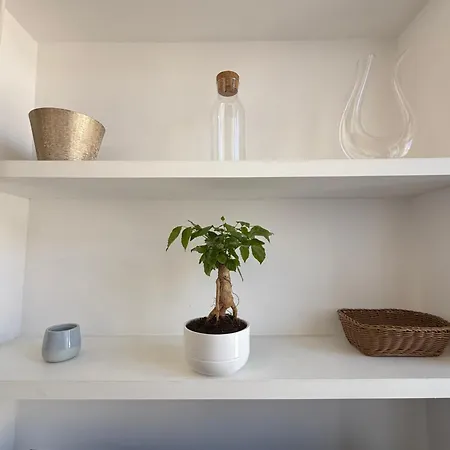 Appartement Piazza Venezia *
