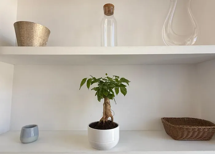 Apartamento Piazza Venezia *